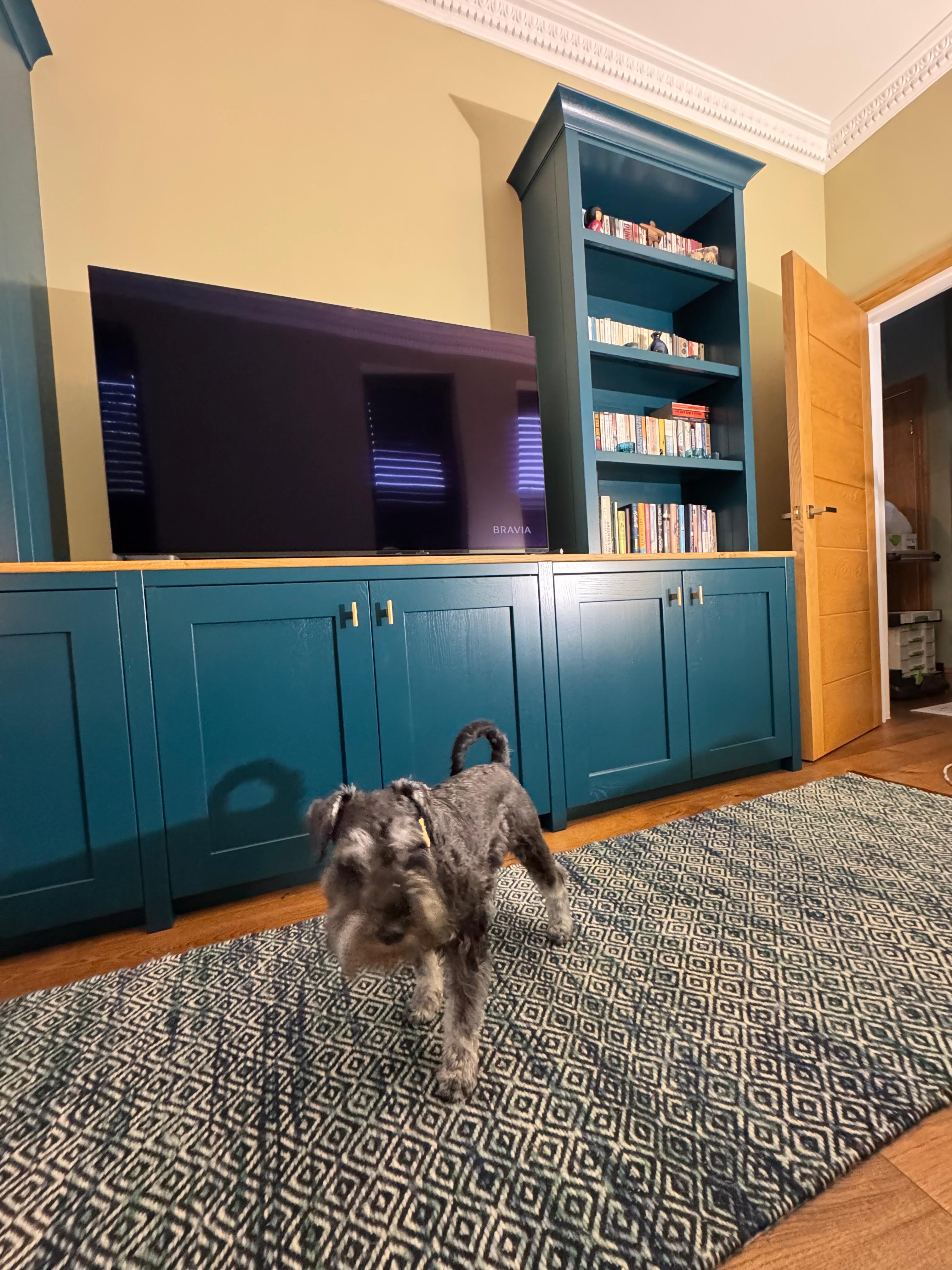 Teal media unit with TV and bookshelves